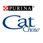 cat-chow-veterinaria-econovet-quillota-arica-la-pintana