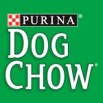 dog-chow-veterinaria-econovet-quillota-arica-la-pintana